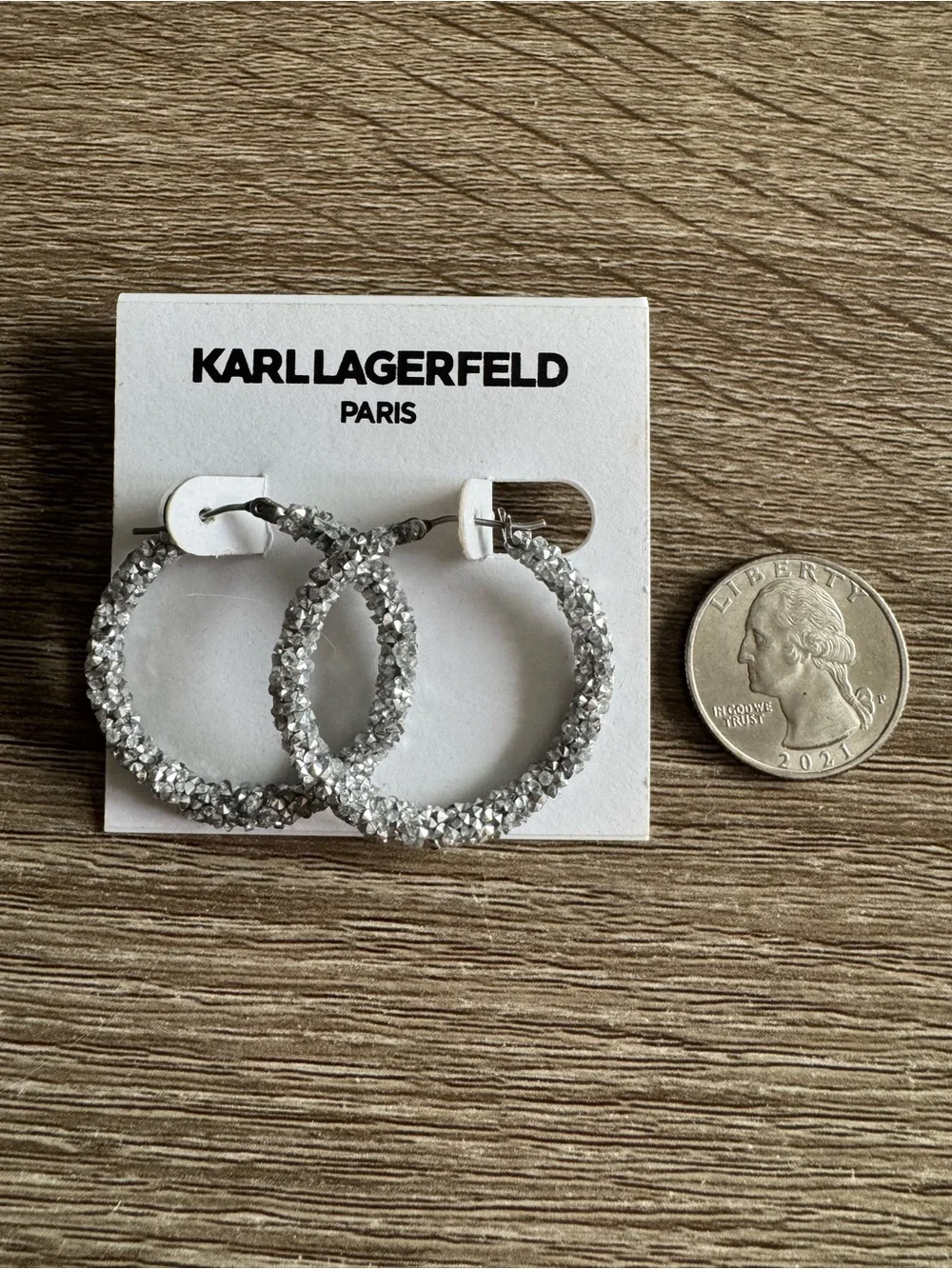 Karl Lagerfeld brand new